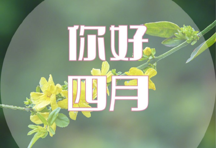 4 月裝修，錯(cuò)過(guò)等一年！青島業(yè)主必看的裝修黃金時(shí)機(jī)?